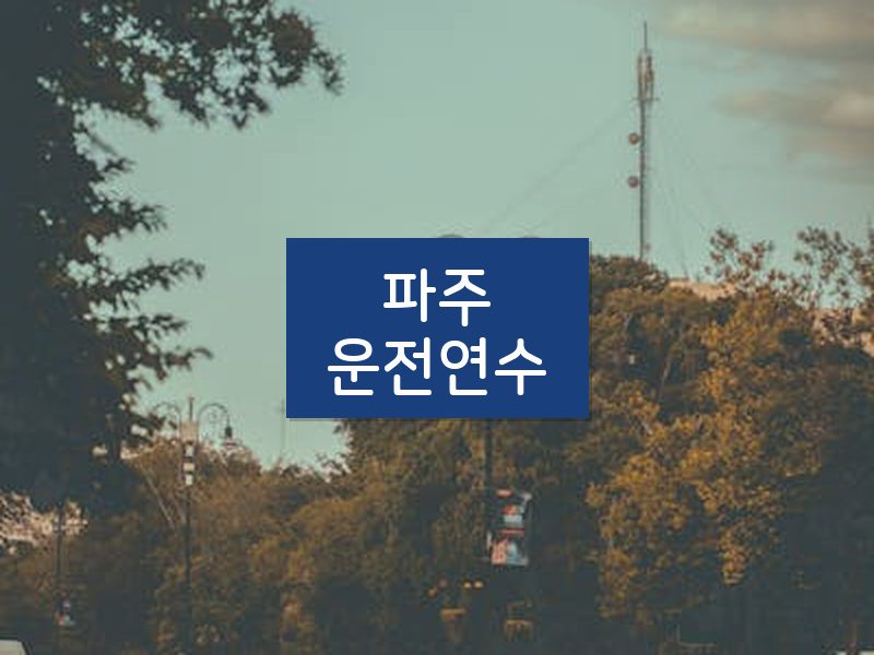 파주운전연수 후기