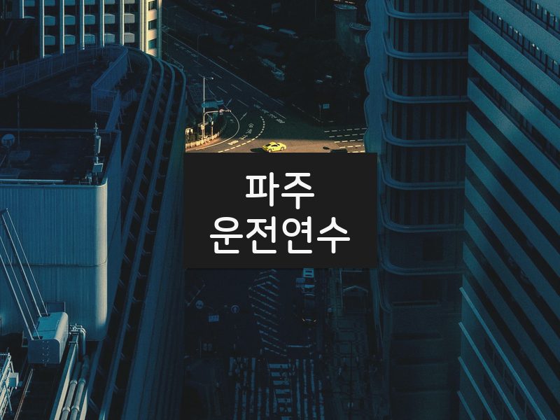 파주운전연수 후기