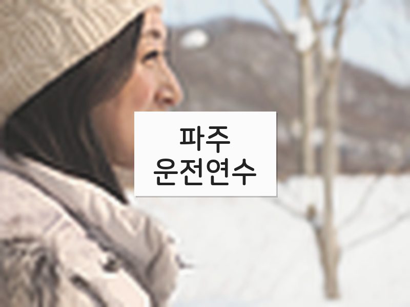파주운전연수 후기