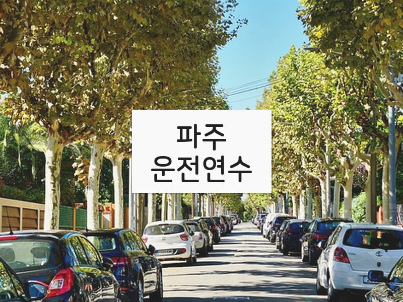 파주운전연수 후기