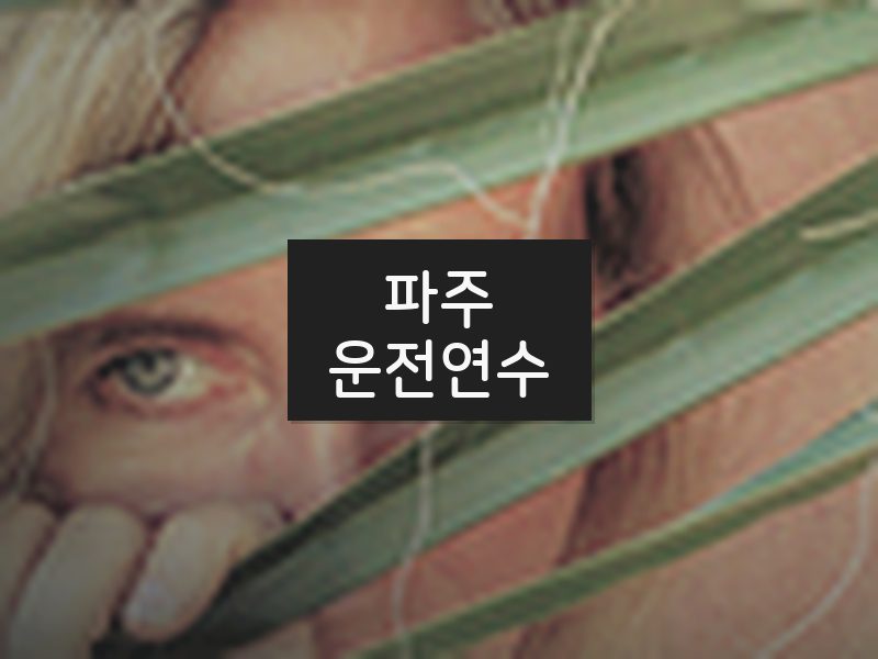 파주운전연수 후기