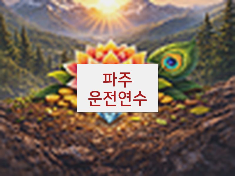 파주운전연수 후기