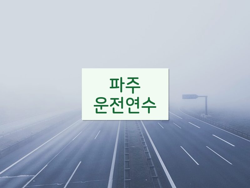 파주운전연수 후기