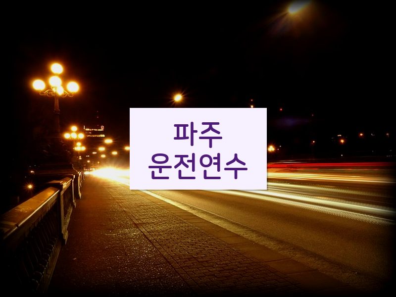 파주운전연수 후기