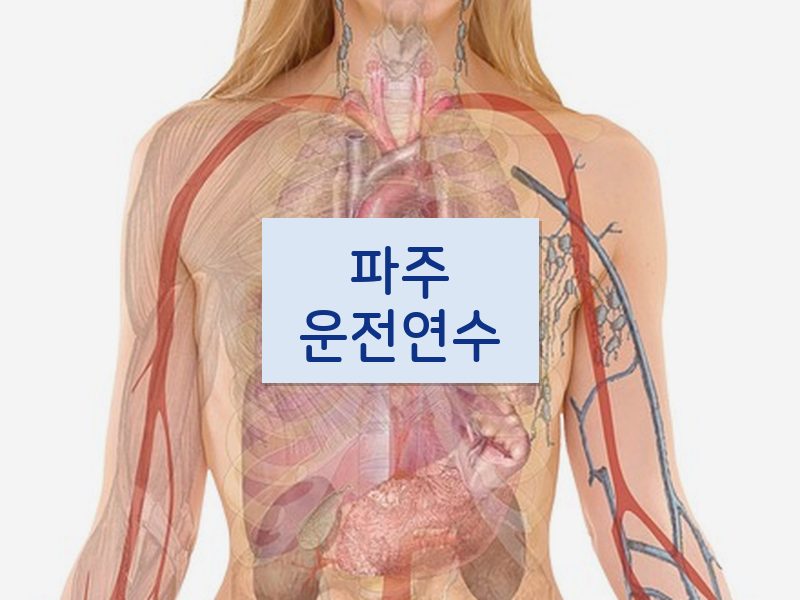 파주운전연수 후기