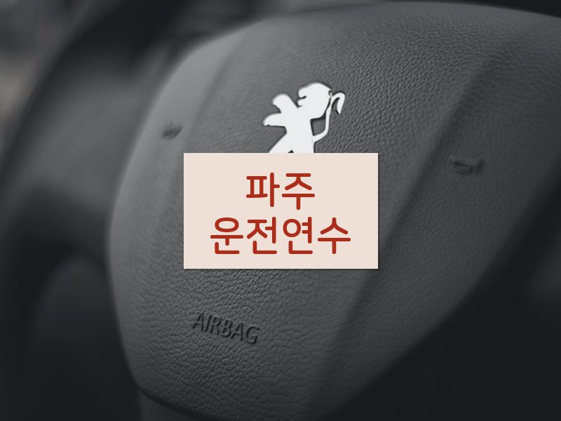 파주운전연수 후기