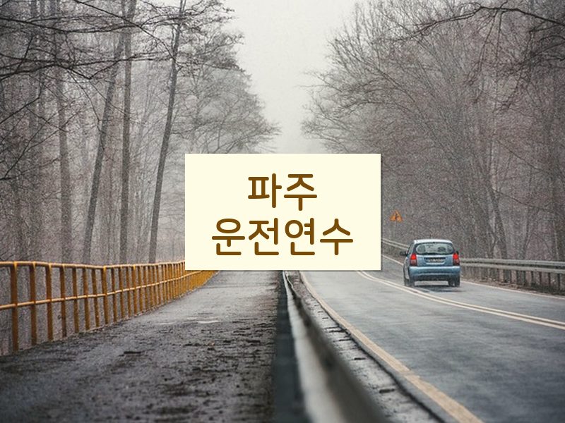 파주운전연수 후기