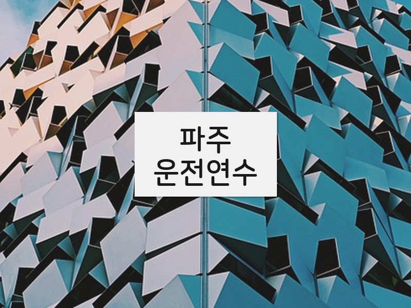파주운전연수 후기