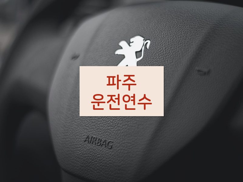 파주운전연수 후기