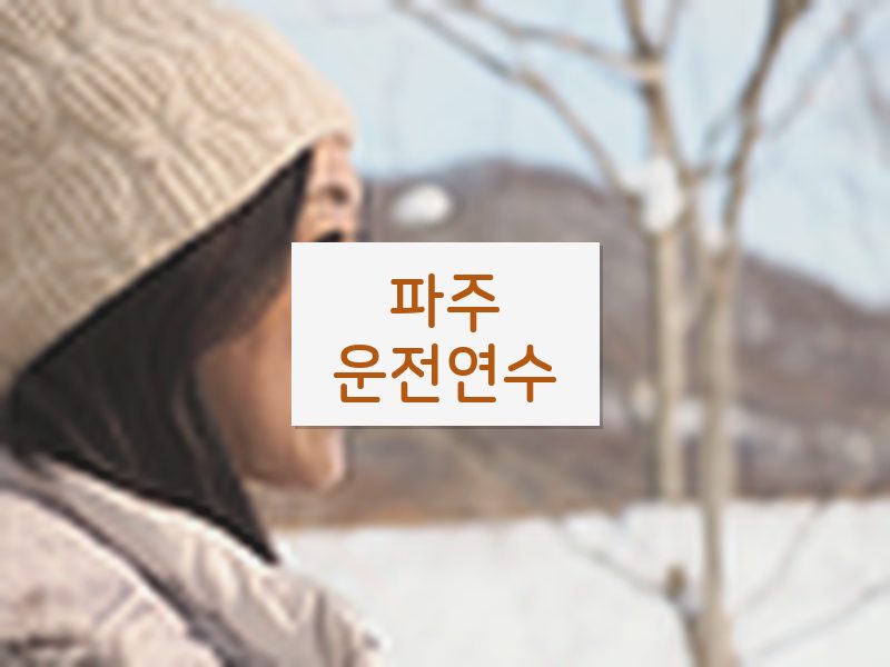 파주운전연수 후기