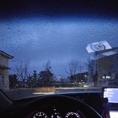 주말 드라이브의 행복