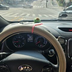 전문가 강사 추천