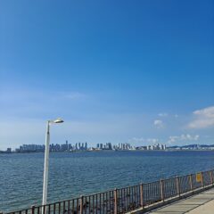 출퇴근길 너무 힘들었어요