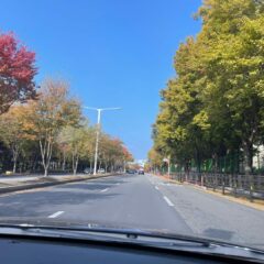 시댁 가는 길 완전 무서웠어요