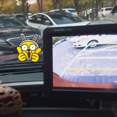 주차 연습이 진짜 어렵네!