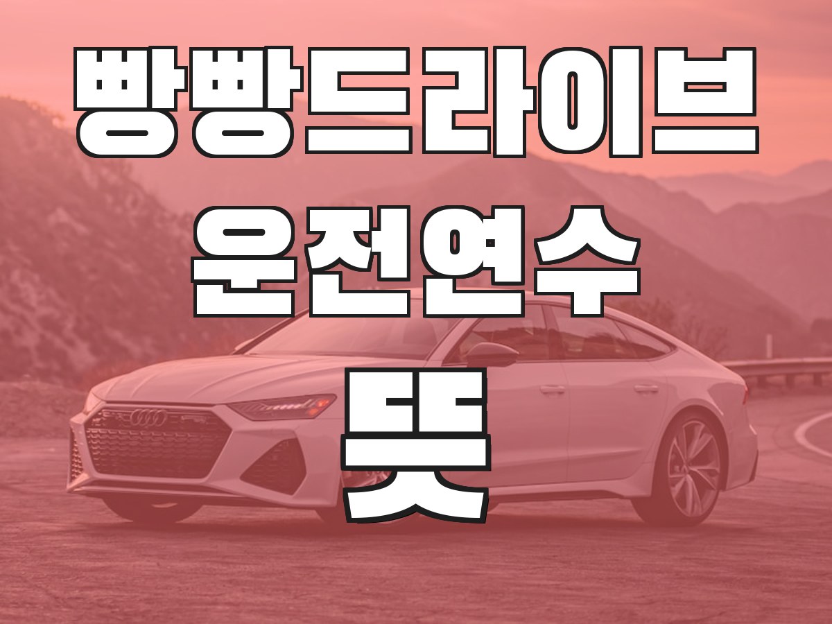 빵빵드라이브 운전연수 뜻 - 운전연수의 의미와 필요성