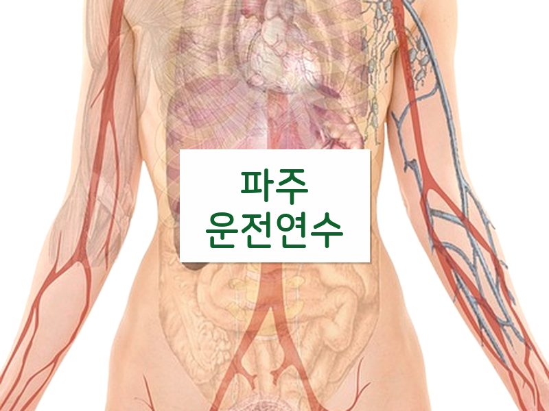 파주운전연수 후기