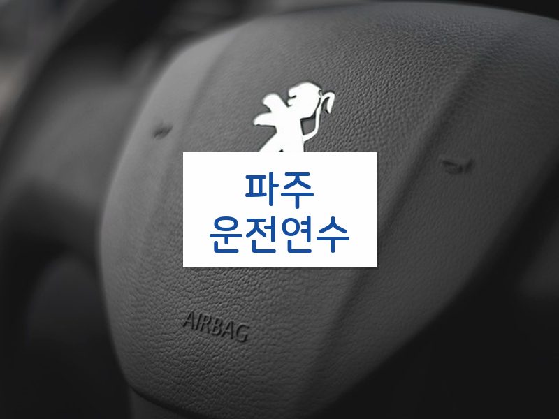 파주운전연수 후기