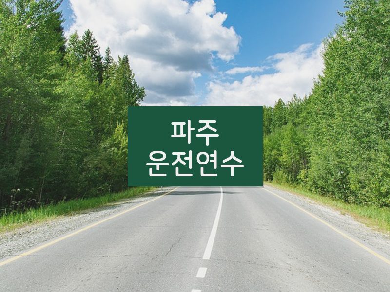 파주운전연수 후기