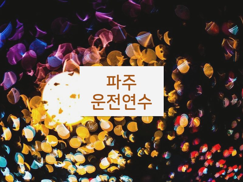 파주운전연수 후기
