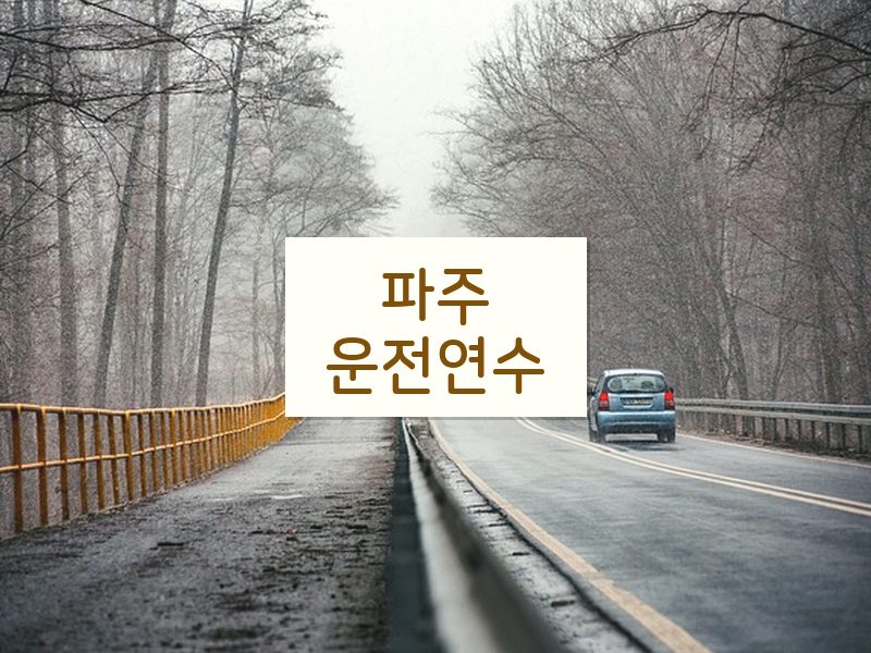파주운전연수 후기