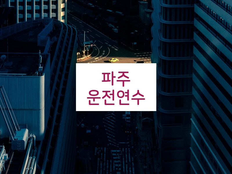 파주운전연수 후기