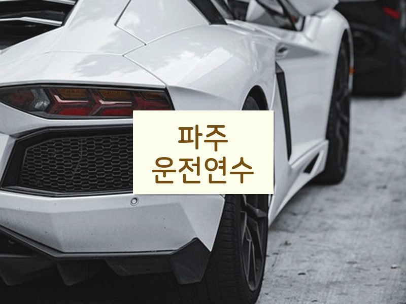 파주운전연수 후기