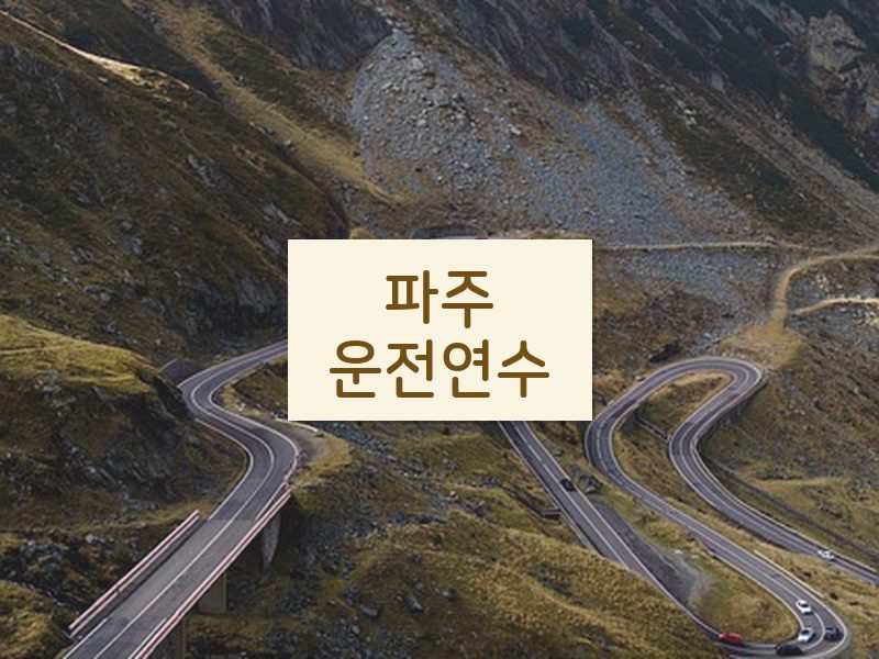 파주운전연수 후기