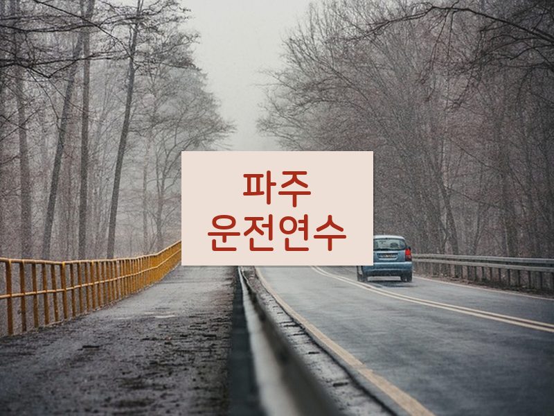 파주운전연수 후기