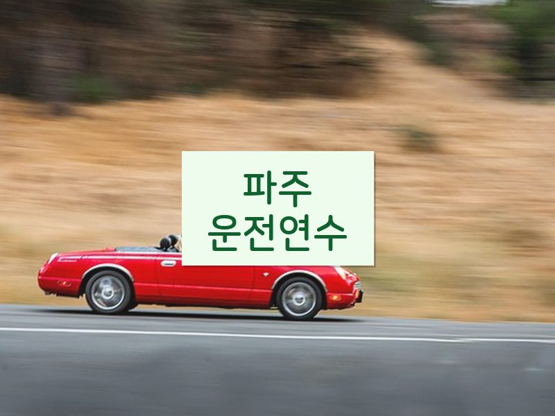 파주운전연수 후기