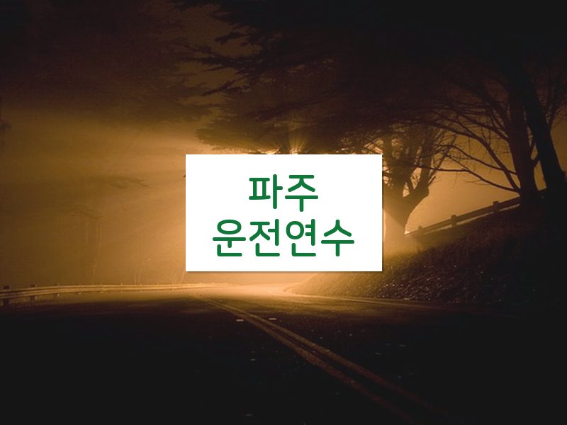 파주운전연수 후기
