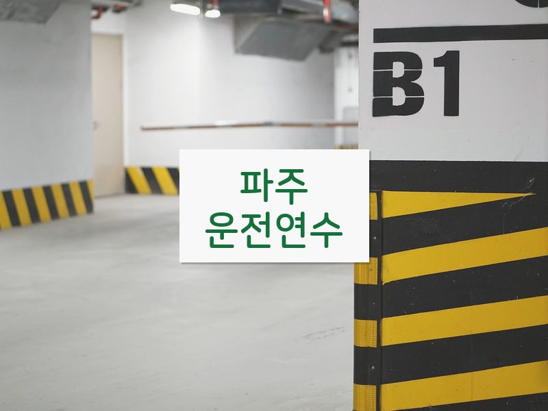 파주운전연수 후기