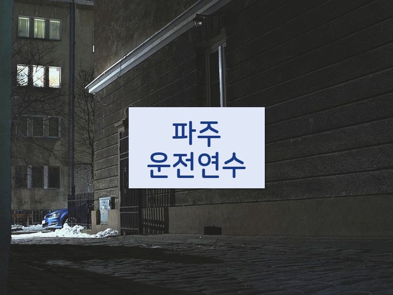 파주운전연수 후기