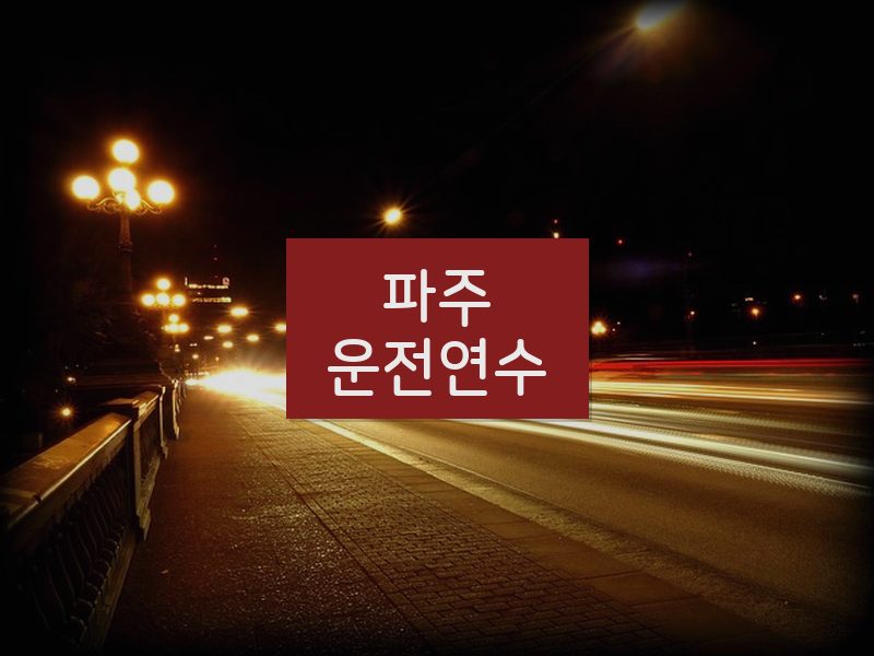 파주운전연수 후기