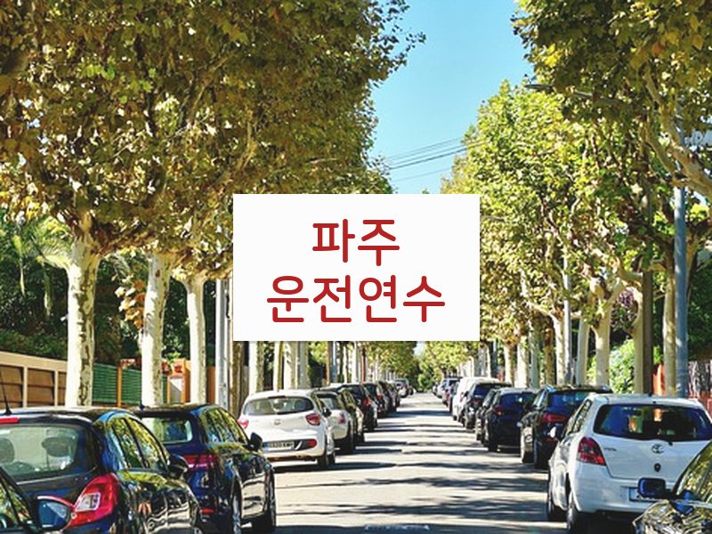 파주운전연수 후기