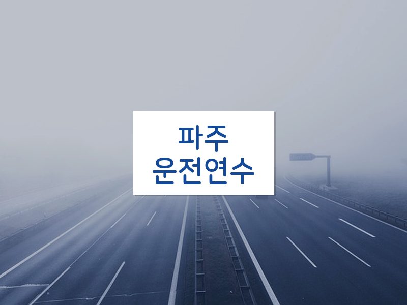 파주운전연수 후기
